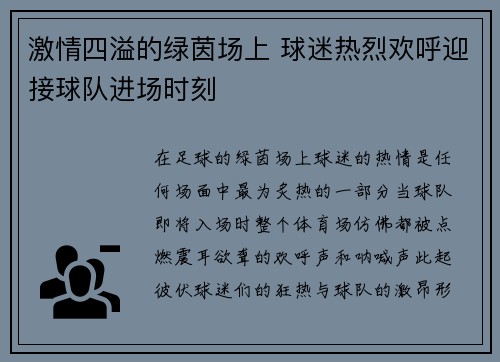 激情四溢的绿茵场上 球迷热烈欢呼迎接球队进场时刻