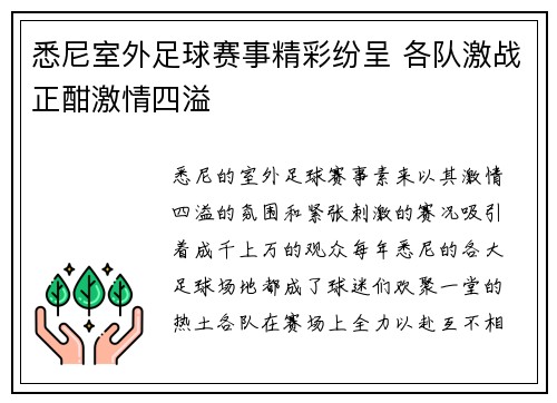 悉尼室外足球赛事精彩纷呈 各队激战正酣激情四溢