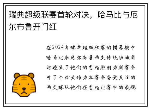 瑞典超级联赛首轮对决，哈马比与厄尔布鲁开门红